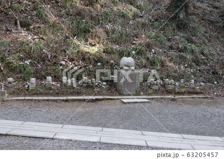 鷲子山上神社・福ふくろうロードの大願成就ふくろう像 63205457