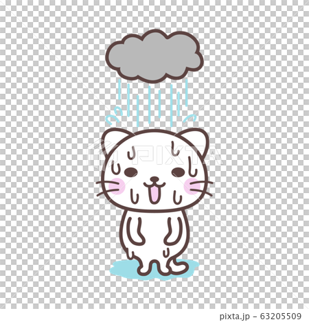 白貓 白貓 63205509