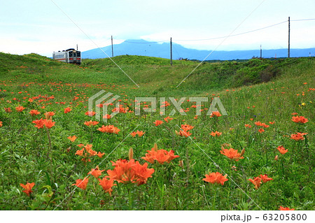 小清水原生花園と釧網線 小清水原生花園と釧網線 63205800