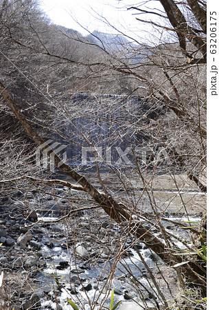 群馬県高崎市の烏川 63206175
