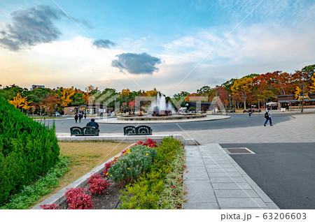 森ノ宮駅近くの大阪城公園噴水、紅葉風景 63206603
