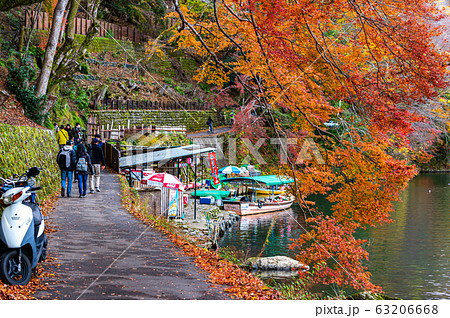 紅葉の京都嵐山の桂川遊歩道の写真素材