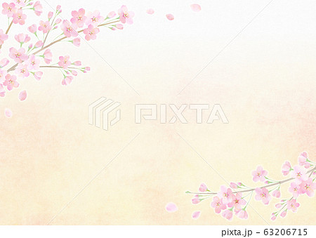 満開の桜 桜吹雪 ソメイヨシノ 春フレーム 満開の桜 桜吹雪 ソメイヨシノ 春フレーム 63206715