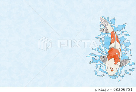 鯉が泳いでいるイラスト 背景つき 線ありのイラスト素材