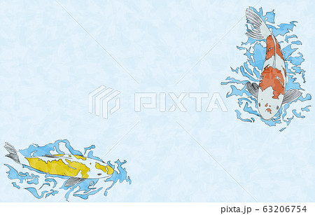鯉が泳いでいるイラスト 背景つき 線ありのイラスト素材