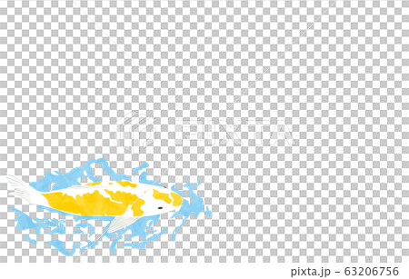 鯉が泳いでいるイラスト 背景なし 線なしのイラスト素材