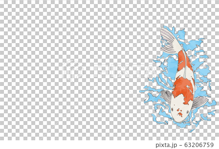 鯉が泳いでいるイラスト 背景なし 線ありのイラスト素材