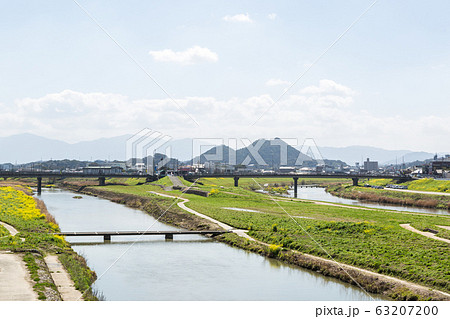 遠賀川河川敷の菜の花と筑豊富士（ボタ山）　福岡県飯塚市 63207200