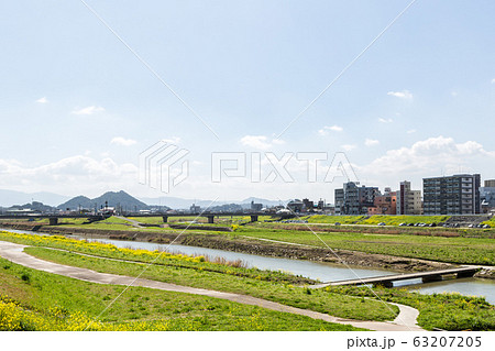 遠賀川河川敷の菜の花と筑豊富士（ボタ山）　福岡県飯塚市 63207205