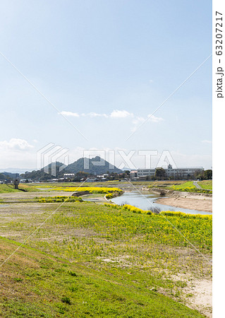 遠賀川河川敷の菜の花と筑豊富士(ボタ山) 福岡県飯塚市 遠賀川河川敷の菜の花と筑豊富士(ボタ山) 福岡県飯塚市 63207217