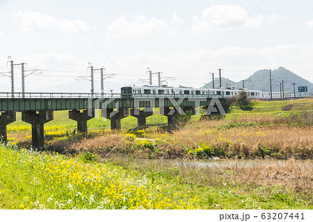 遠賀川河川敷の菜の花と筑豊富士（ボタ山）　福岡県飯塚市 63207441