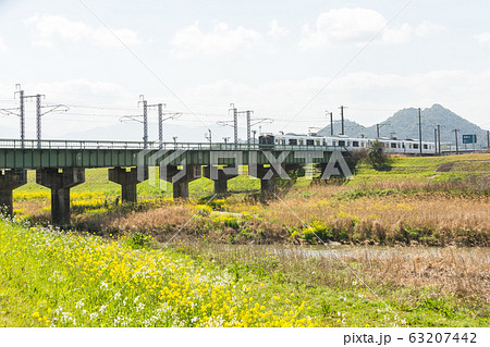 遠賀川河川敷の菜の花と筑豊富士（ボタ山）　福岡県飯塚市 63207442