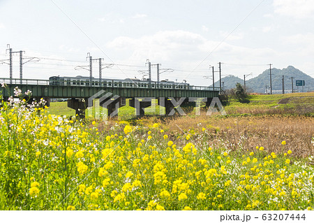 遠賀川河川敷の菜の花と筑豊富士（ボタ山）　福岡県飯塚市 63207444