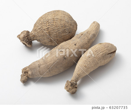 ダリアの球根の写真素材