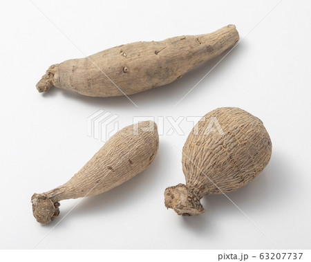 ダリアの球根の写真素材