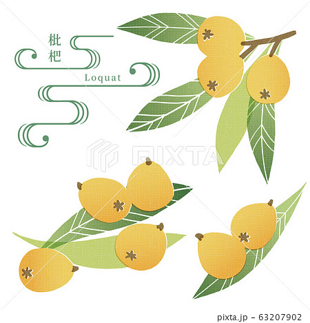 びわの手ぬぐい風イラスト 63207902
