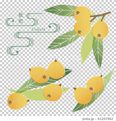 びわの手ぬぐい風イラスト 63207902
