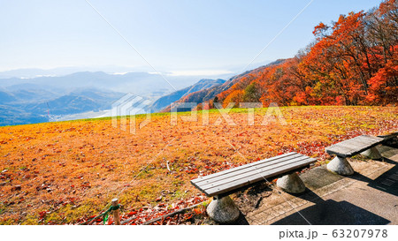 秋の木崎湖・小熊山 秋の木崎湖・小熊山 63207978