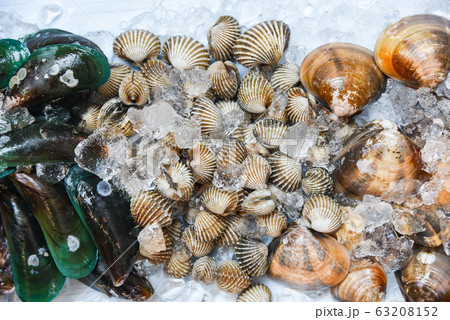 Shellfish on ice background / Fresh raw blood 63208152