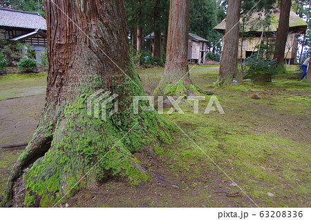 神社・仏閣 63208336