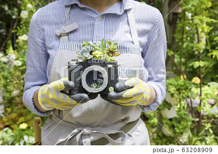 カメラ型のプランターに寄せ植えをした多肉植物を持つ女性手元 ガーデニングイメージの写真素材 6309