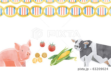 遺伝子組み換え食品イメージイラスト 遺伝子組み換え食品イメージイラスト 63209024