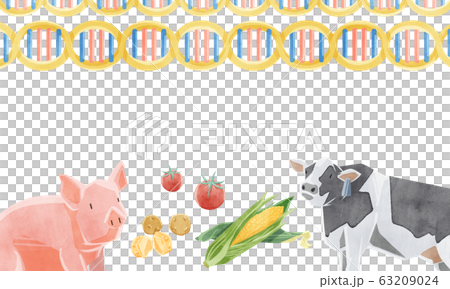遺伝子組み換え食品イメージイラスト 遺伝子組み換え食品イメージイラスト 63209024