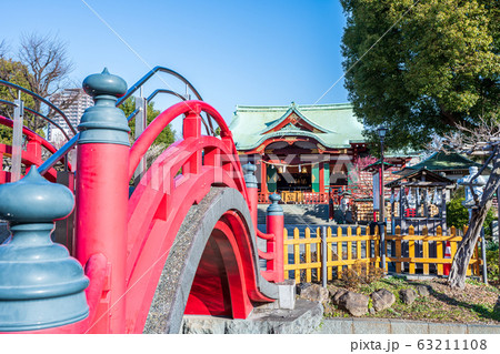 東京都 早春の亀戸天神社 東京都 早春の亀戸天神社 63211108