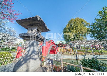東京都 早春の亀戸天神社 東京都 早春の亀戸天神社 63211111