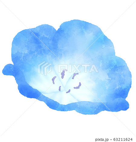 青い花のイラスト ネモフィラ 水彩風のイラスト素材