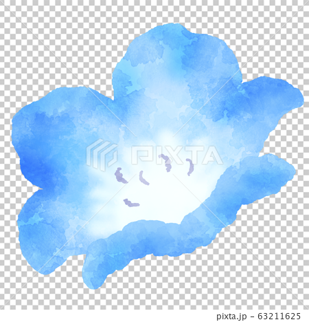 藍色的花圖nemophila水彩風格 插圖素材 圖庫
