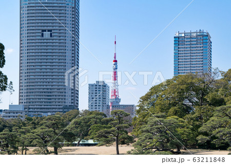 東京都 浜離宮恩賜庭園 横堀と東京タワー 東京都 浜離宮恩賜庭園 横堀と東京タワー 63211848