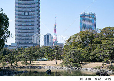 東京都　浜離宮恩賜庭園　横堀と東京タワー 63211849