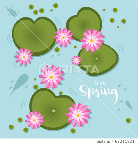 Lotus flowers and swamp plant with little fish  63211921