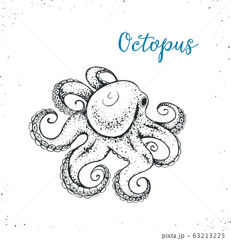 seafood vector illustration 63213225