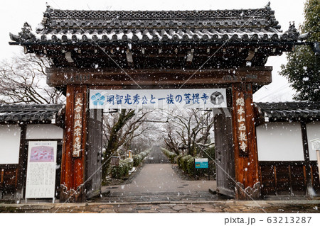 雪の西教寺 雪の西教寺 63213287