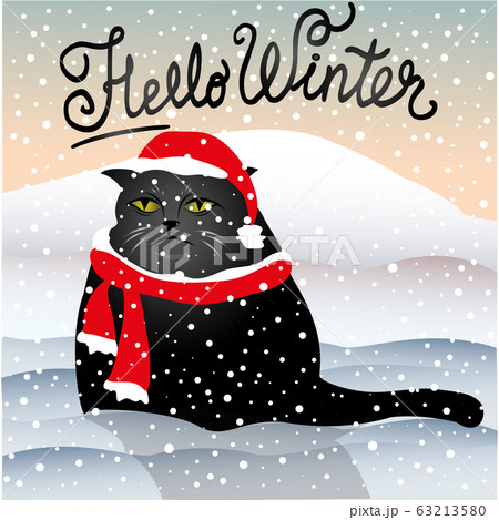 sad cat sitting in the snow sad cat sitting in the snow 63213580