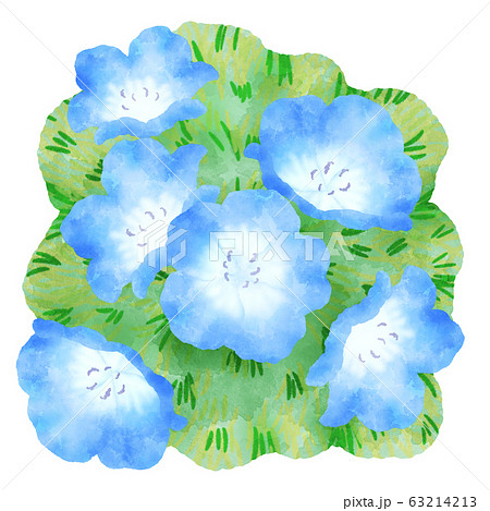 青い花 草原のネモフィラ 水彩風イラストのイラスト素材