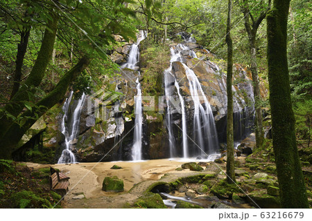 金引の滝（京都府宮津市） 63216679