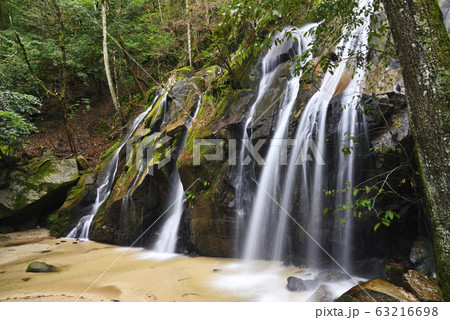 金引の滝（京都府宮津市） 63216698