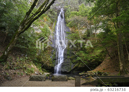 琴滝（京都府船井郡京丹波町） 63216738