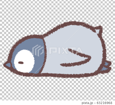 Penguin chick sleeps Penguin chick sleeps 63216968