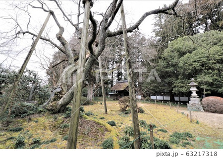 群馬県太田市法輪寺 63217318