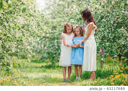 Adorable little girls with young mother in blooming cherry garden on beautiful spring day 63217689