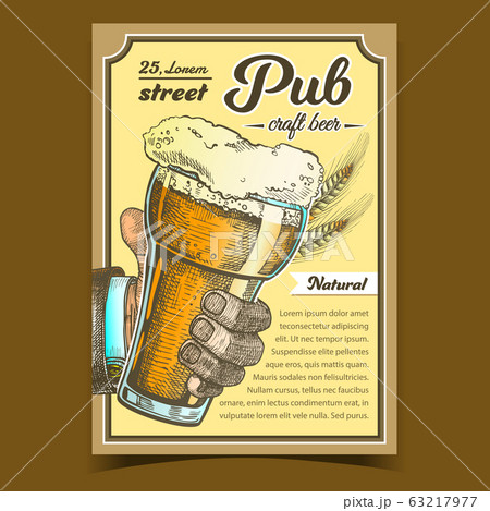 Pub Natural Craft Beer Advertising Poster Vector 63217977