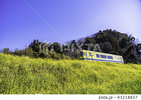 （千葉県）いすみ鉄道　菜の花　春 63218837