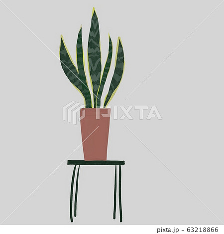 虎の尾 サンスベリア 観葉植物 プラントスタンドのイラスト素材