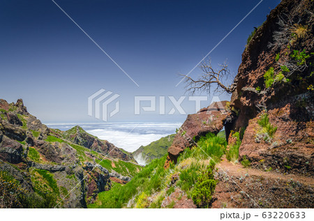Mountains above the clouds and dead tree on slope Mountains above the clouds and dead tree on slope 63220633