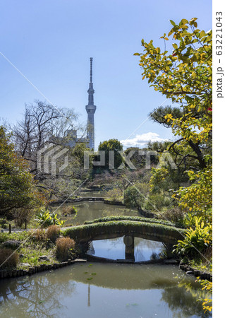 向島百花園から見えるスカイツリー 63221043