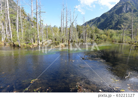 上高地の岳沢湿原 63221127